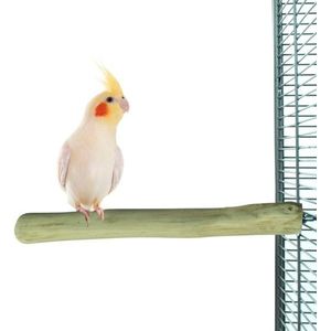 Back Zoo Nature Single Perch Medium