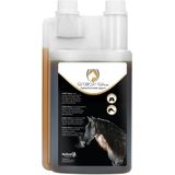 Excellent HMP-Horse vloeibaar 1 liter