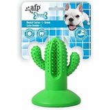 All For Paws Dental Chews-Cactus rubber M