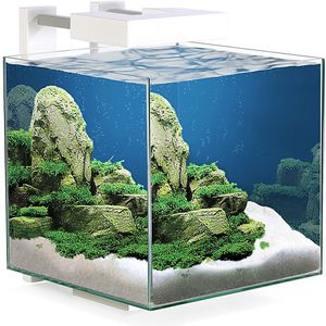 Ciano Nexus Pure 15 LED | 14L | 25 x 25 x 31,5CM Aquarium