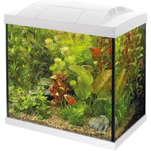 SuperFish Start 50 Tropical Kit | 39L | 44,2 x 27 x 37,4CM Wit