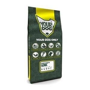 Yourdog Bosanksi ostrodlaki gonic Pup 3 KG