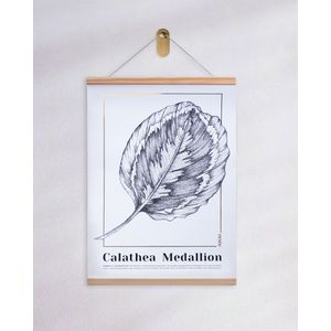Calathea Medallion Poster