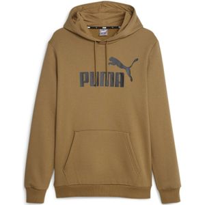 Puma Puma Big Logo Hoodie