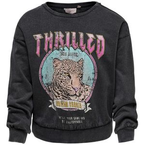 Only Kids Koglucinda L/s Tiger Box Ub Swt