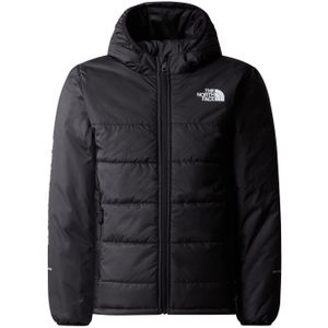 The North Face Boys Never Stop Jacket