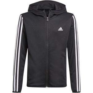 Adidas Designed 2 Move 3 Stripes Hoodie