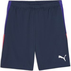 Puma Individual Liga Training Shorts Heren