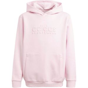 Adidas All Season Graphic Hoodie Kids