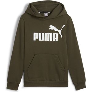 Puma Essentials Big Logo Hoodie Fleece Kids