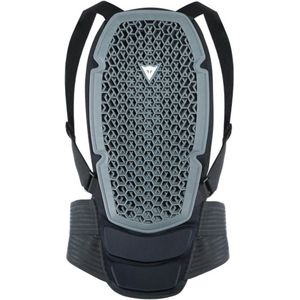 Dainese Pro Armor Back Protector