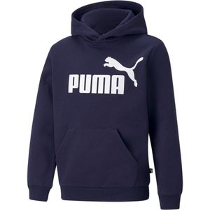 Puma Essentials Big Logo Hoodie Fleece Kids
