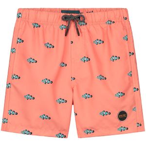 Shiwi Boys Clownfish Swim Shorts
