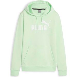 Puma Essentials Logo Hoodie