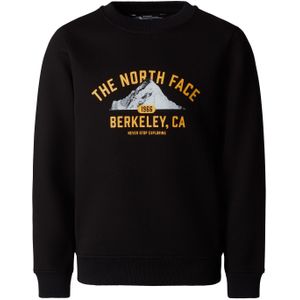 The North Face Varsity Relaxed Crew Kids