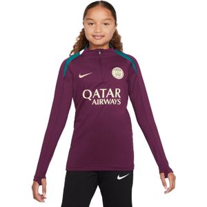 Nike Paris Saint-germain Strike Kids