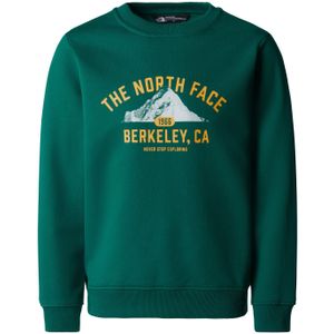 The North Face Varsity Relaxed Crew Kids