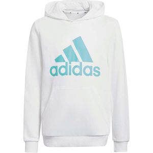 Adidas Big Logo Hoodie Junior