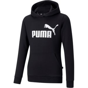 Puma Essential Logo Hoodie Fleece