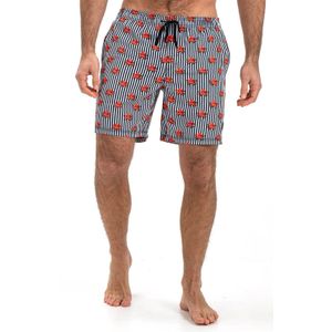 Falcon Swimshort Dray