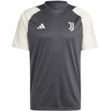 Adidas Juventus Trainingsshirt