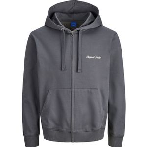 Jack & Jones - JORNORREBRO EMB SWEAT ZIP HOOD - Hoodie - Asfalt