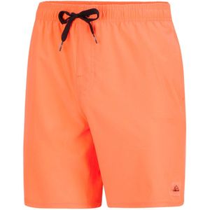 Falcon Swimshort Dray