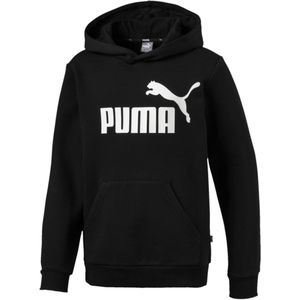 Puma Essentials Logo Hoody Fleece Junior