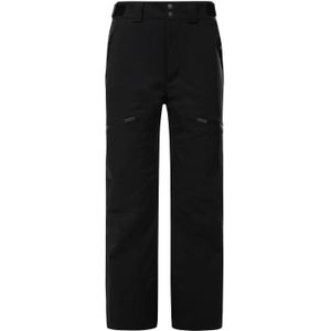 The North Face Chakal Pants