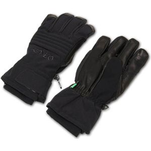 Oakley B1b Glove