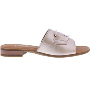 Gabor dames/slippers/extra/slippers/gabor/extra/slippers/50701r241_goud_31256.html | Goud | Leer | 42.792.82 | 50701R241 | Gaborshoes