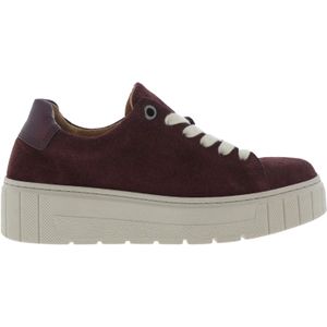 Gabor Dames Sneakers | Bordeaux | Suede | 76.410.38 | 55213L252 | Gaborshoes