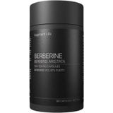 Augment Life Berberine Capsules