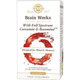 Solgar - Brain Works with Full Spectrum Curcumine & BacoMind - Geest en Geheugen Vitaminen - Veganistische Capsules