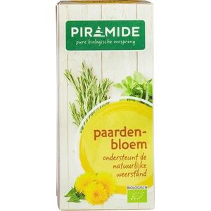 Piramide Paardenbloem Kruidenthee