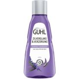 Guhl Zilverglans & Verzorging Shampoo Mini 50 ml