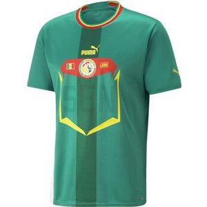 Puma  -  Shirts  heren Groen