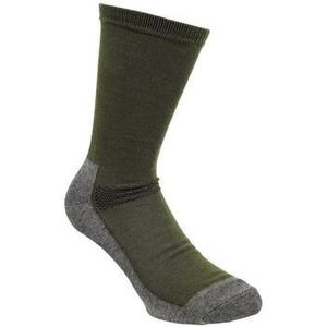 Pinewood  Chaussettes  Coolmax (x2)  kousen en sokken  dames Groen