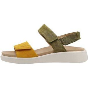 Ara  -  sandalen  dames Groen