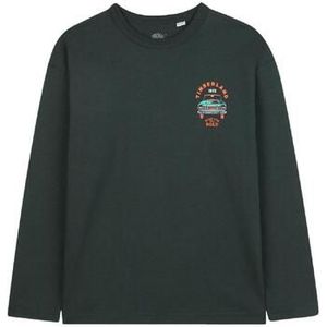 Timberland  T60540 672  Shirts  kind Groen