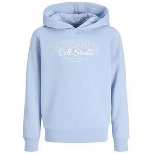 Jack &amp; Jones  -  Truien  heren Blauw