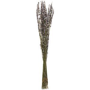 . Gedroogd boeket Lavendel Afsana; 60 cm (L); lila