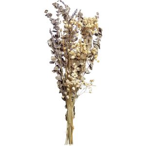 . Gedroogde bloemen Kazumi; 36 cm (L); naturel/groen/wolwit