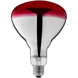 VEGA Reservelamp voor warmtelamp 10081417 en 10081419; rood