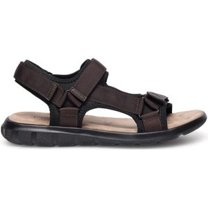 Sandalen Lanetti MSS20230-13 Braun