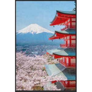 Fussmatte Mount Fuji 10383