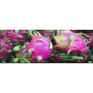 Küchenteppich Drachenfrucht 4384