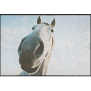 Fussmatte Pferd 4805