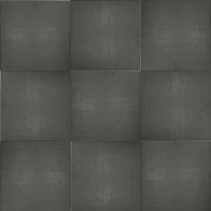 Terrastegel Excluton Tuintegel Met Facet Antraciet 50x50x5 cm