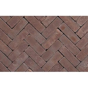 Klinker Norton Natura DF Paars Blauw Bezand 20x6,5x8,5 cm Wienerberger Steenvisie B.V.